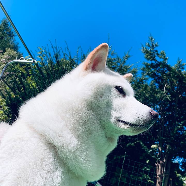 8b4a6158 9ac9 439d 87f6 a416f1ce4f4a 1599082909359