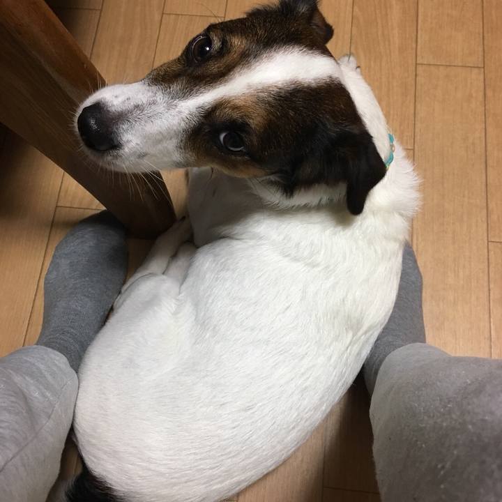 8b4a642e 11a9 4bcc b107 ce0932714543 1509269238386