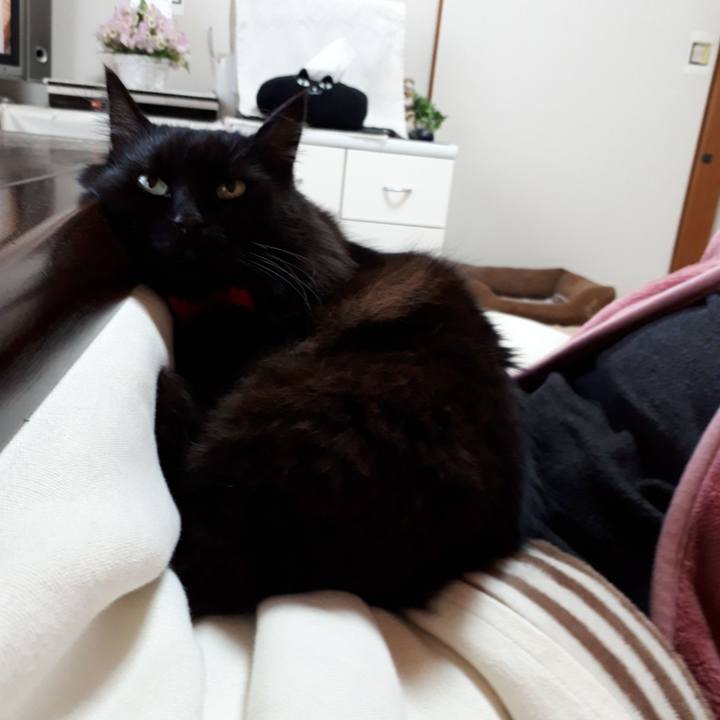 8b4aff35 2125 4b60 a2d8 36b9bb534381 1517356607670