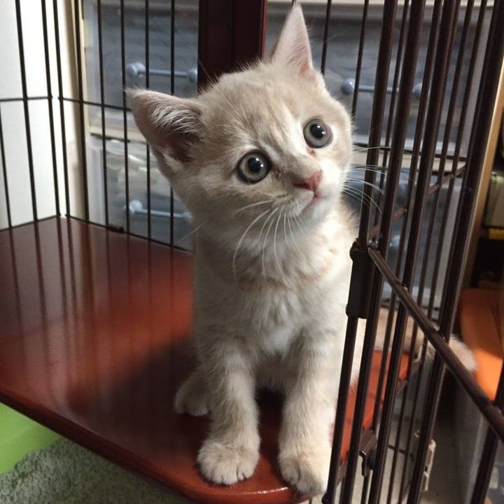 8b4b1f94 e34b 4923 a4eb e7f455b25624 1535112616464