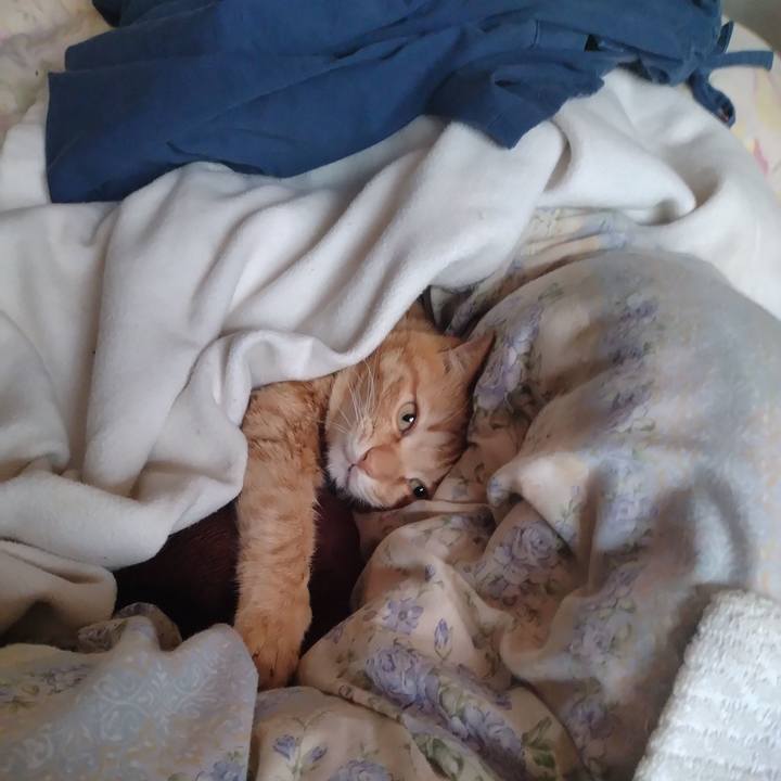 8b4b44bf 55c7 4978 8034 3627c9ddb714 1711491533487