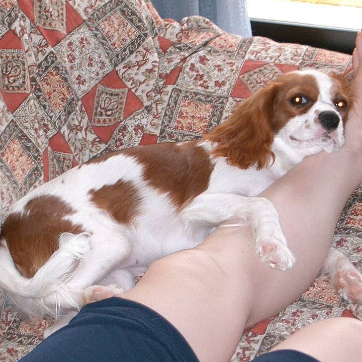 8b4b5683 5137 4a18 ab18 4c99d957749d 1529932321774