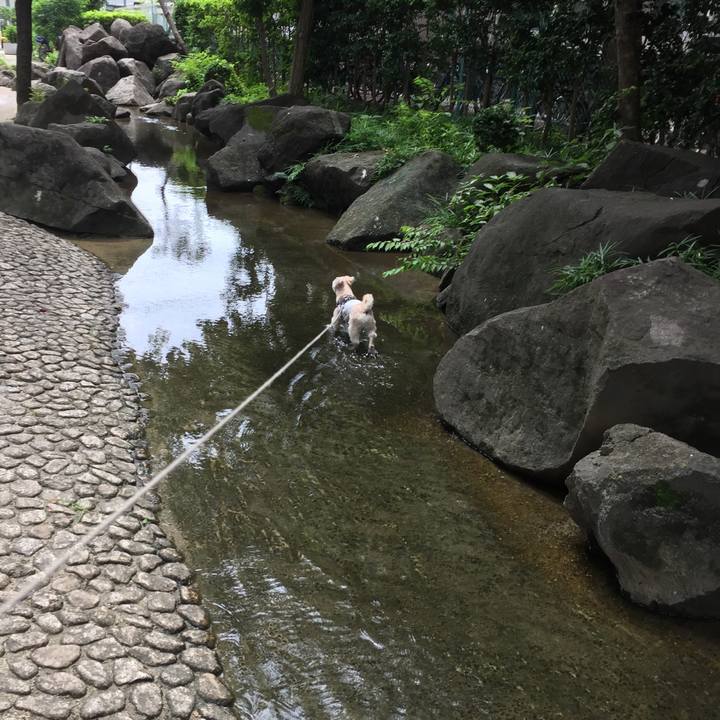 8b4ba179 553d 4a87 8113 fee8fba5bf45 1563018274659