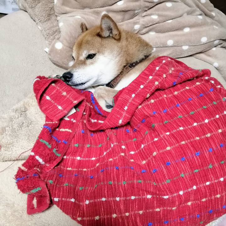 8b4bcc4f 4776 4ffe bb36 dc79acbadd27 1625751899907