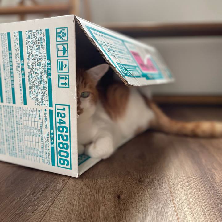 8b4bd55c 6209 4811 9933 8e935cf2114a 1685858902223