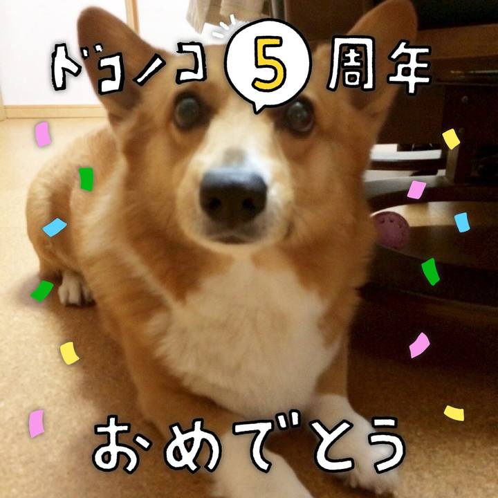 8b4c4bd2 065e 4f08 b462 d6b45e6d18dd 1622864176023