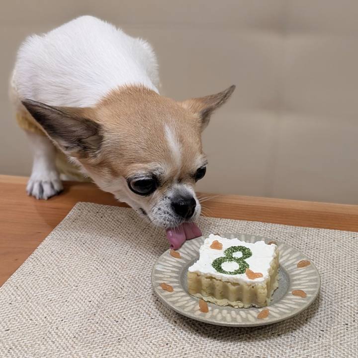 8b4c5c53 cc1e 40ff adf0 a259bfa086d5 1763810022454