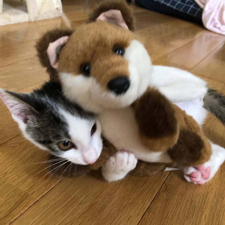 8b4c7e3a e835 4538 8624 202d1f7ad059 1565148563331