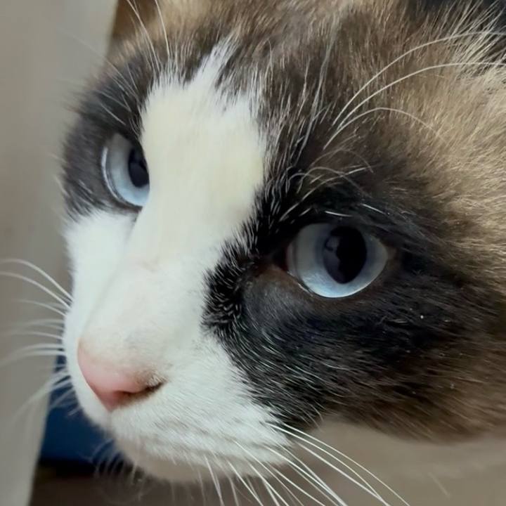 8b4c8b48 be97 445a 9dc5 10a8c8509e18 1769779176327