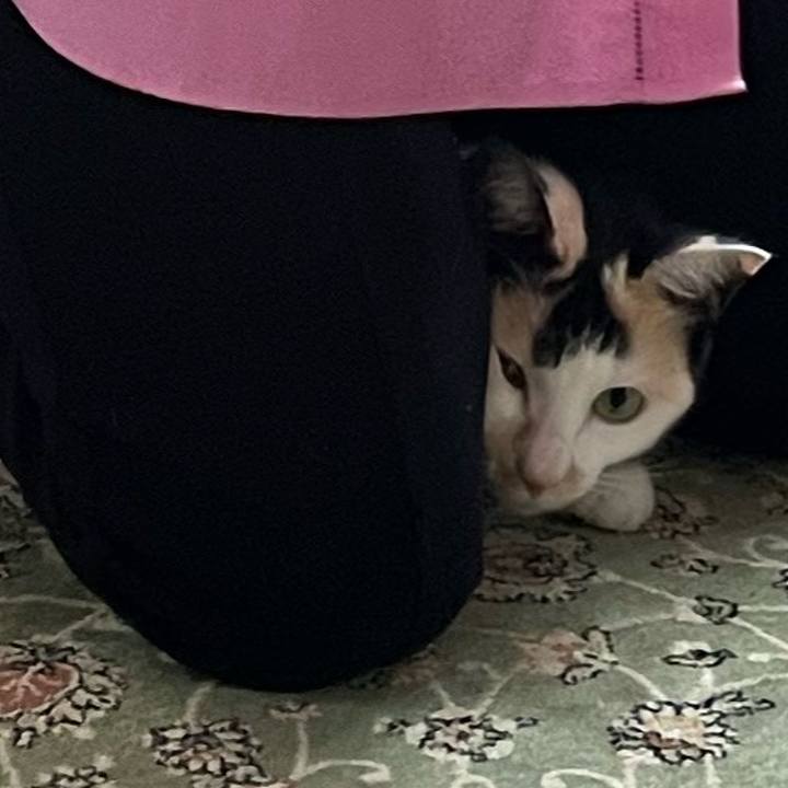 8b4caeb6 9028 4856 9754 69b381052594 1745635408113