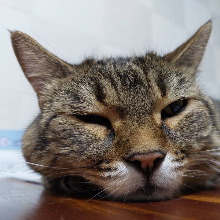 8b4cc4ea 13c0 4247 9f15 de6190e30511 1658837774843