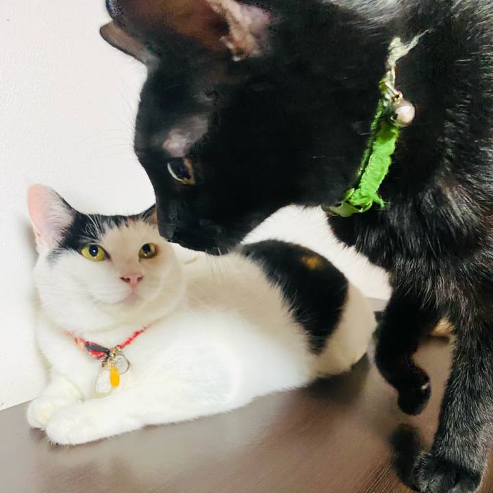 8b4d3e67 b263 443c b034 8504b14025b9 1724425078917