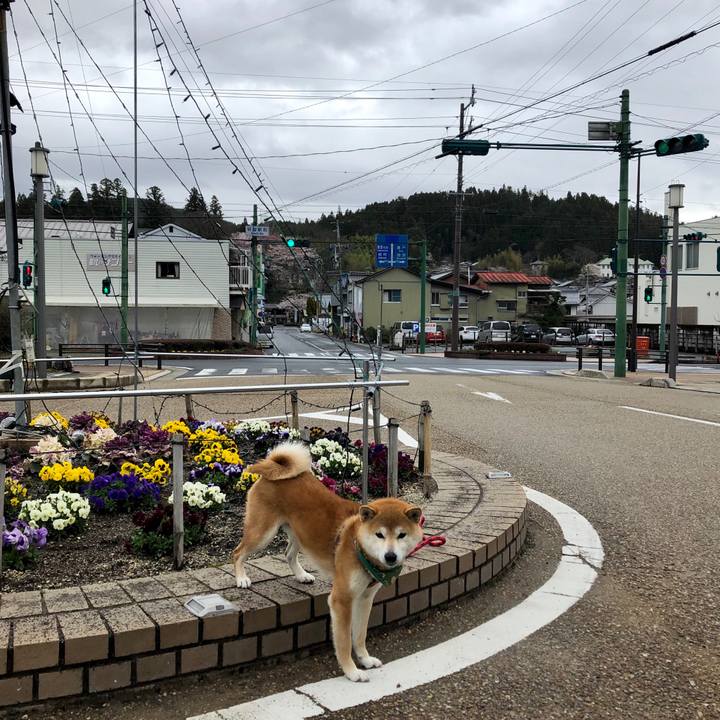 8b4d61fb 17a7 45cf a1f7 9df7a2fb8777 1554888858802