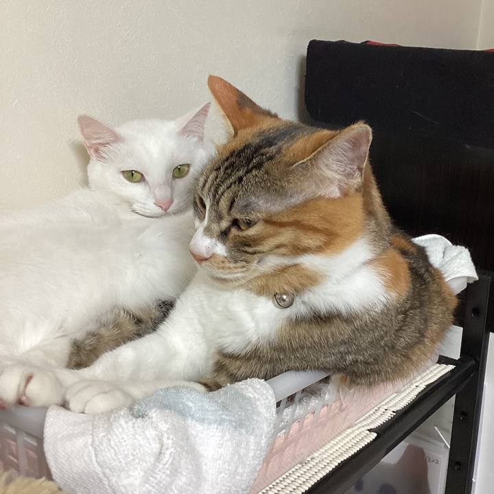 8b4d6433 1441 40a5 b0d9 9ddd4f177e8f 1648545395802