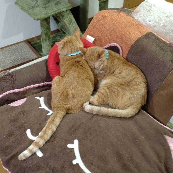 8b4d857b 5cff 4e76 aad2 0f53642b0cb9 1737783592835