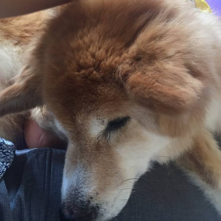 8b4d8ae1 83b5 495c a536 4f048fc7a40e 1530274491114