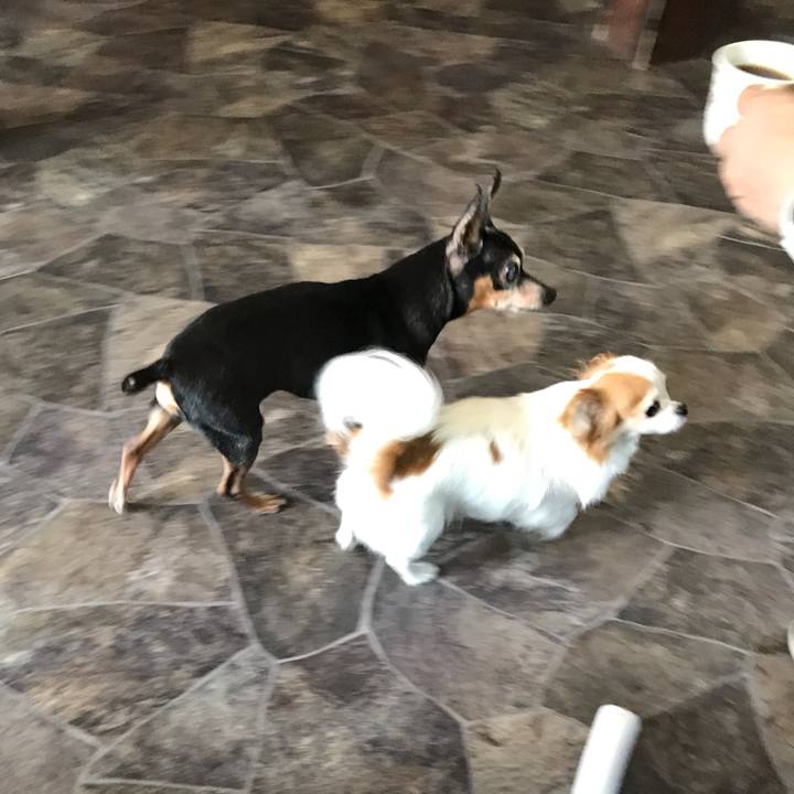 8b4db981 89e1 4270 a371 b8d7c5b7a5a3 1536491245524