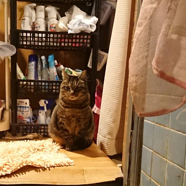 8b4dd037 9814 4324 9cdc 76979c0a441b 1643536476075