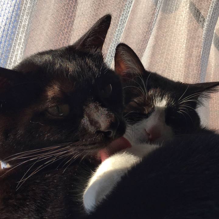 8b4de8ee 76ab 4ed9 adb3 216e09c06d9c 1513987768406