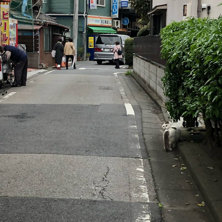 8b4df62a 5d0b 43c9 84ca 50966c1a359a 1556481372364