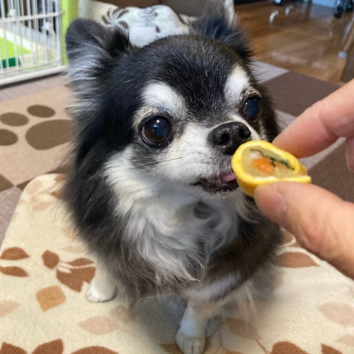 8b4e0130 1f56 4551 831f 2775458cff09 1770096724616