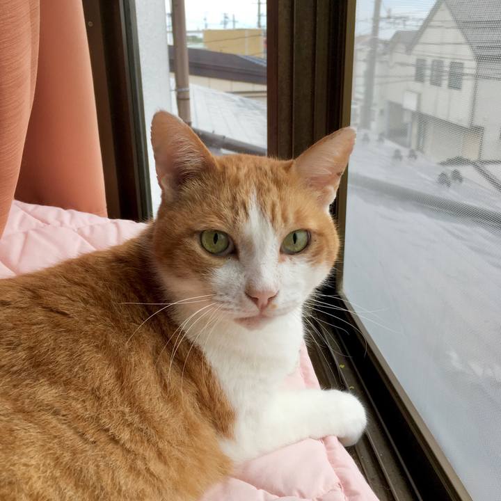 8b4e1aa3 a6aa 468a 9ad2 460e3fac3f84 1571723341048