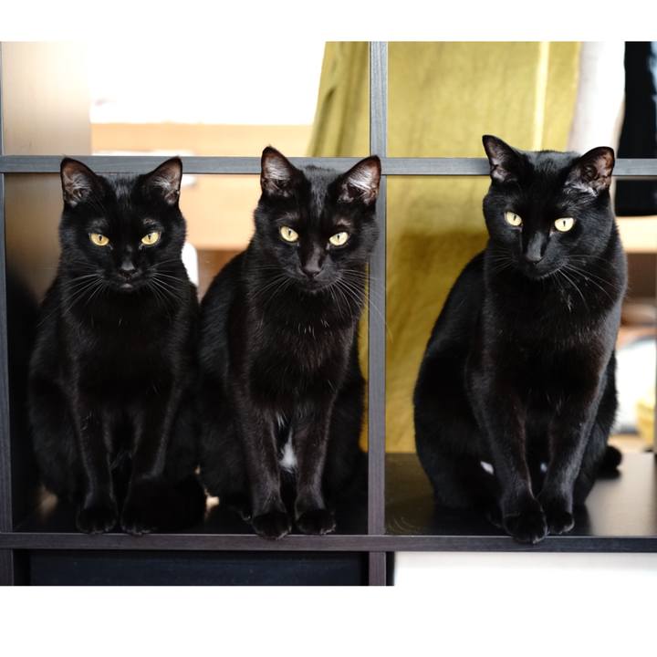 8b4e2628 9be5 4590 bd73 836734f0bdc1 1554766846595