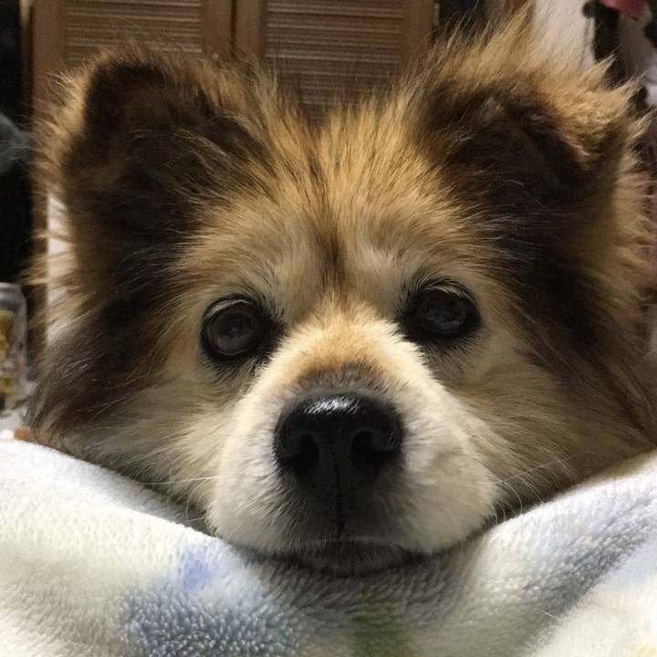 8b4e2a34 7fda 43d0 bfc0 e6d11563acef 1562416120700