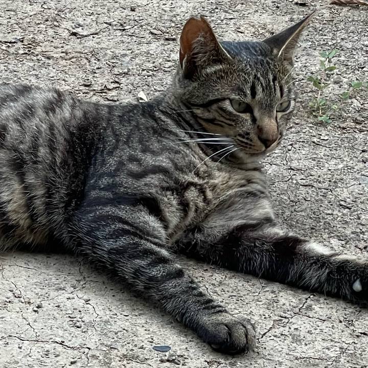 8b4e36de a5d4 43f2 8253 18c0112a13de 1656925632103