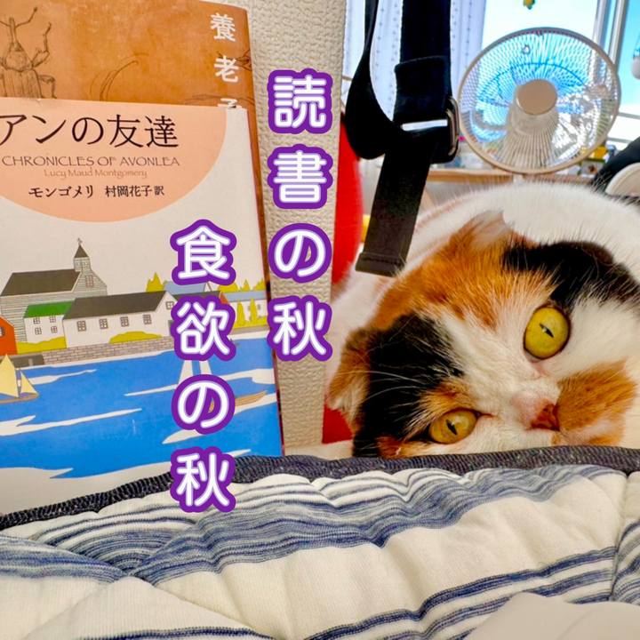 8b4e7983 e9b6 4ba7 8393 efd69ff97b68 1695954914548