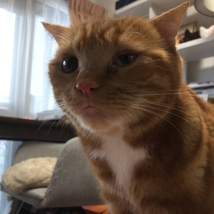 8b4e802d f8ee 44df bb8a e52de3faecd8 1577669739115