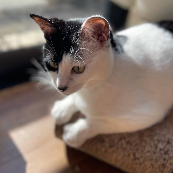 8b4eae96 d274 4343 b44f 6817e1d64559 1610504104031