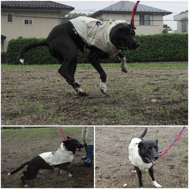 8b4eb74b c2ff 485c 98c4 058e42e69b65 1593039896945