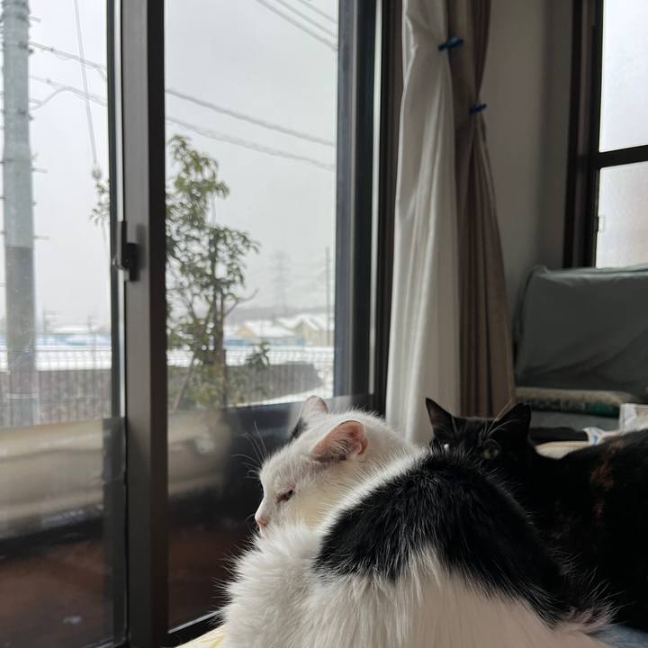 8b4ec0cc 0ba6 4885 83ab ad91bdcdbae4 1741125076064