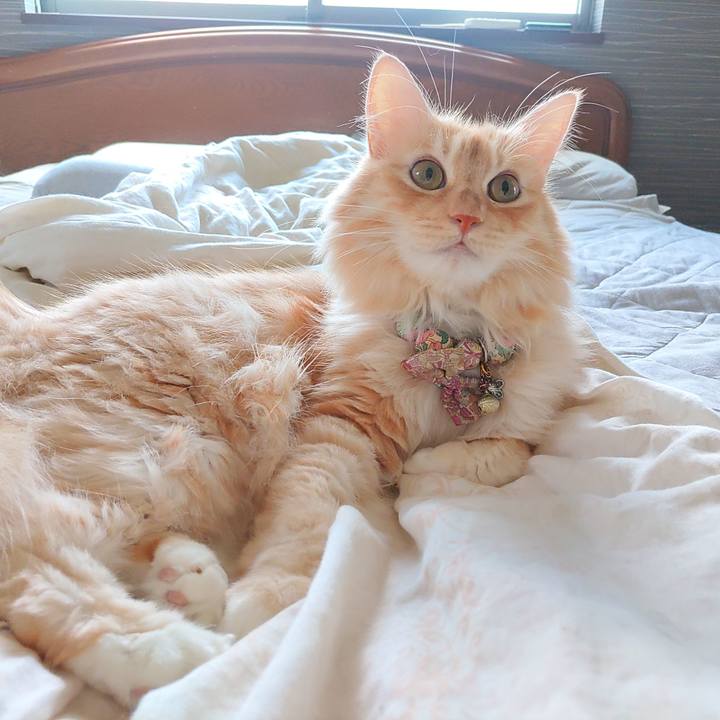 8b4ecf9e 7f15 432b ba2c b22cc4c17d87 1692411675325