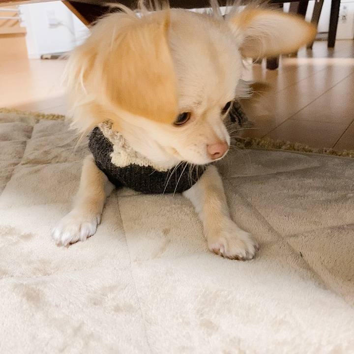 8b4ed4da 0961 44e9 9c84 8210f1d3711a 1610713752705