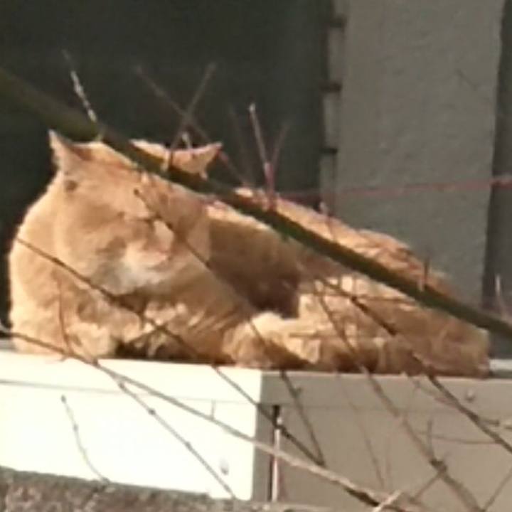 8b4efd87 4665 4db3 a856 84355fe15b33 1579597441440