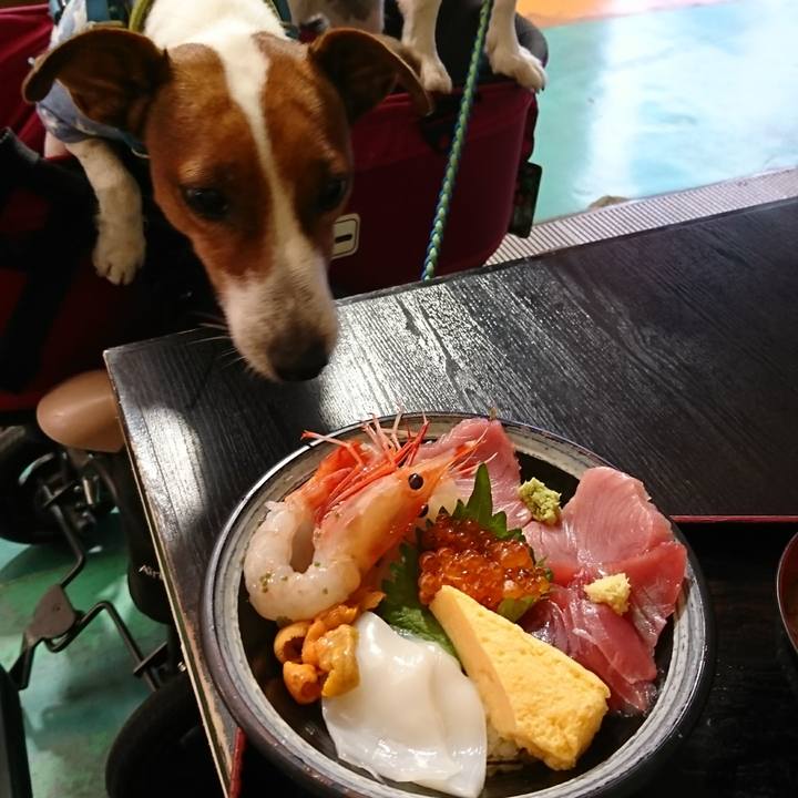 8b4f0666 1f44 445d 82be e8f96f6ad781 1603174462410