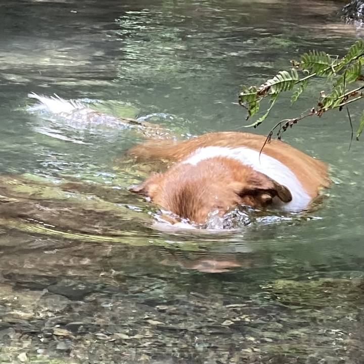 8b4f106f 2f65 48b1 aaea 7b5cad17d5e5 1691462906869