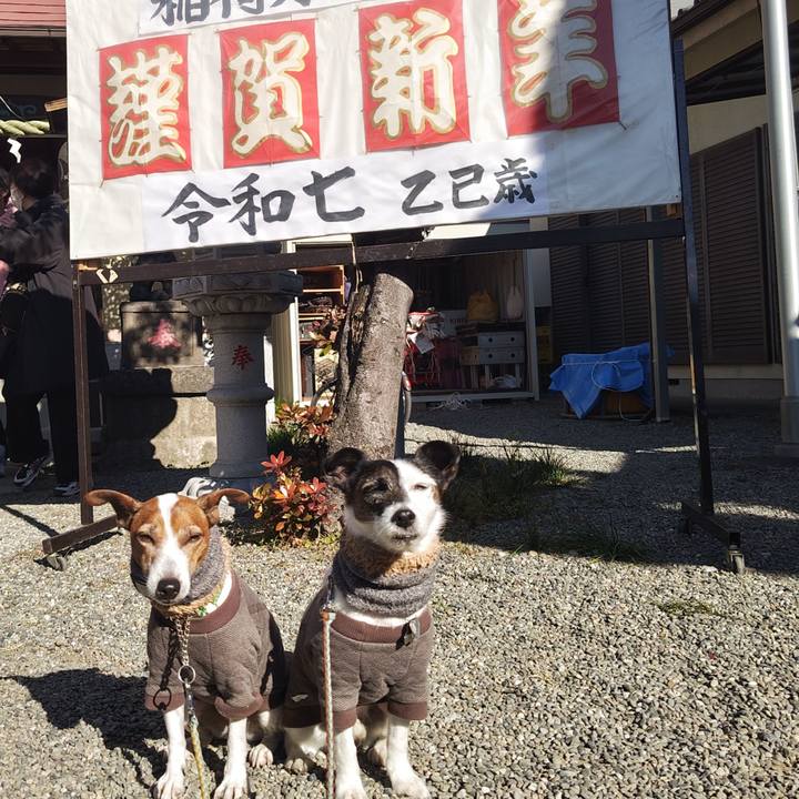 8b4f11a2 9fd7 4459 8d7d 788d0bb183f1 1735699426532