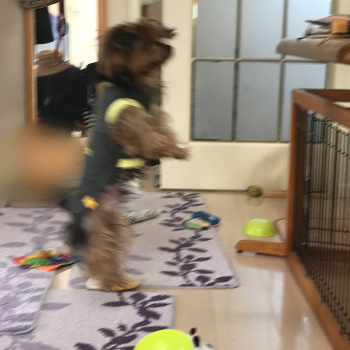 8b4f4013 7803 4a26 a58b e3f2ac0f876b 1522403015351