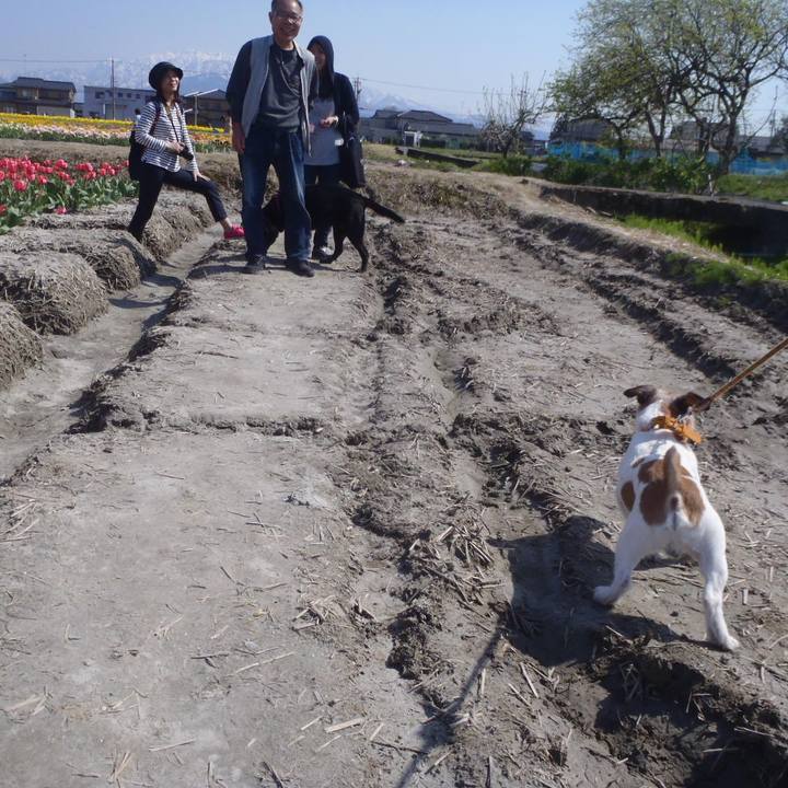 8b4f59dc 9973 4c6a b104 a7b285e7ddad 1525069988680