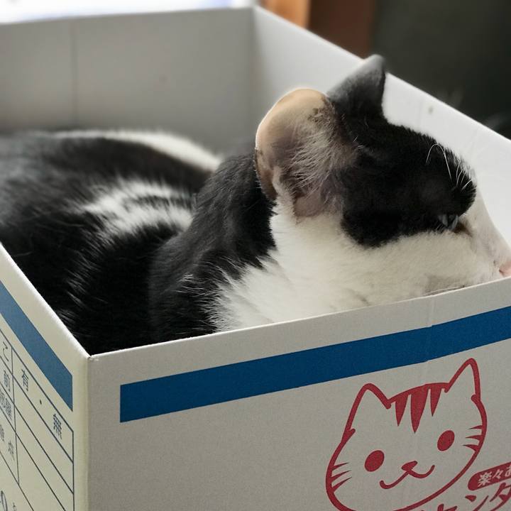 8b4f889a 6110 452a bfbe f599c33d8af1 1535506061437