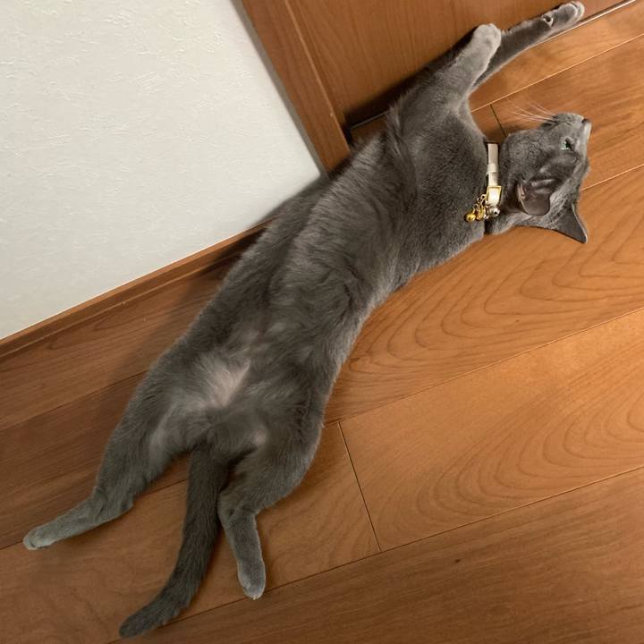 8b4f9da4 b8d3 4fb8 a3c0 f5a85ddc43a8 1630029591871