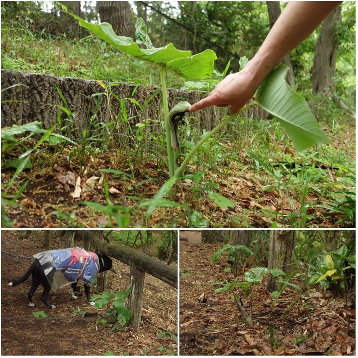 8b4fa0a3 c03a 47d7 9d3d 5b6743ba0b6f 1618361092680