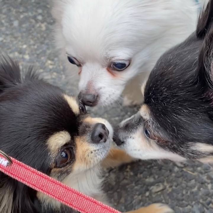 8b4fc311 e3a7 4c2c a849 f84bc40540f2 1616634385633