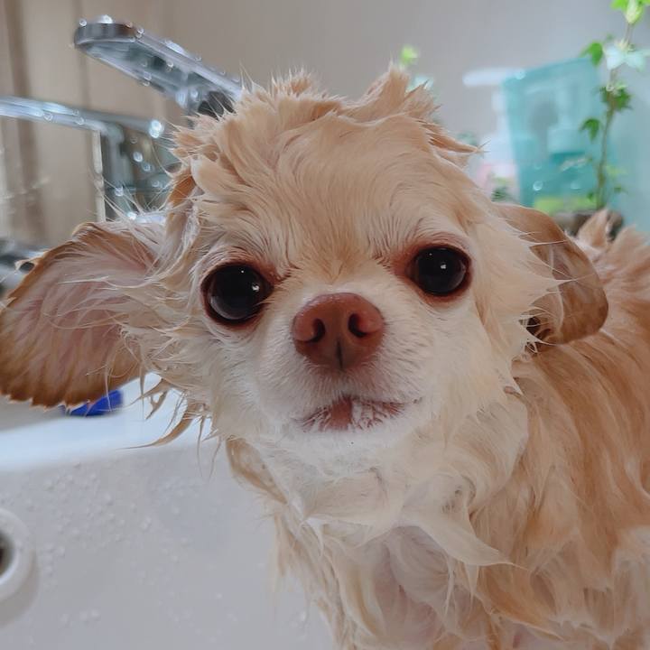 8b4fdf28 8451 4dff 8ba5 db25c321eaf1 1765786188720