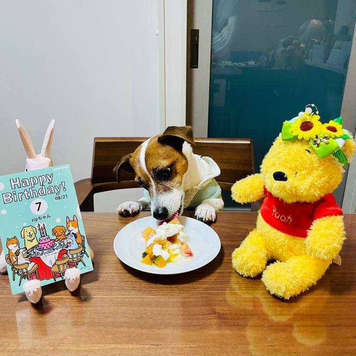 8b4ff39e d192 4656 a32a d7d33514f985 1740641794725