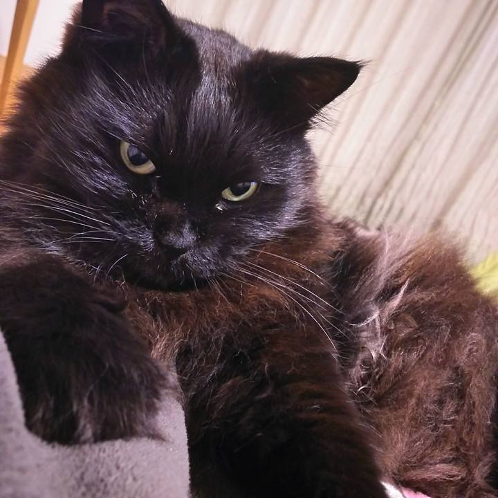 8b500d6f 918c 4670 af64 b9d820ee119d 1555072722912