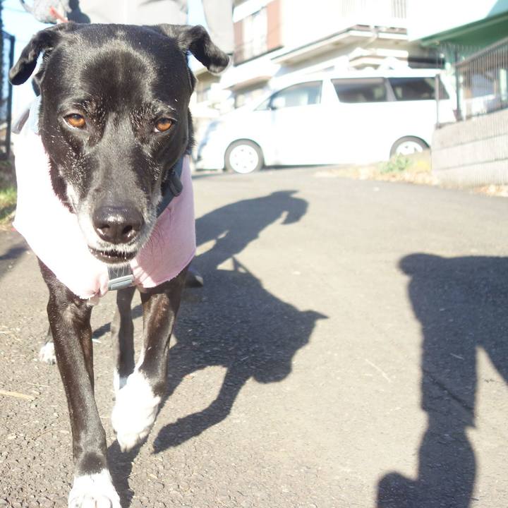 8b501042 c334 4912 ba8f c3896a5a6009 1707871459710